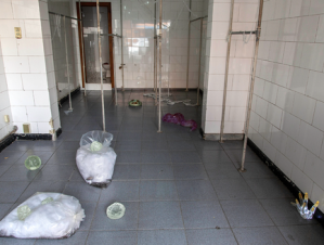 Screen+Shot+2022-06-03+at+7.00.01+PM