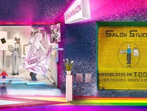 salon-silicon-lgbt